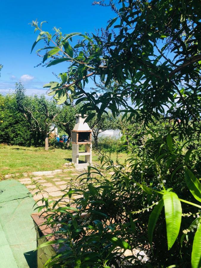 Camelia Casina Rural Villa Albuerne Exterior photo