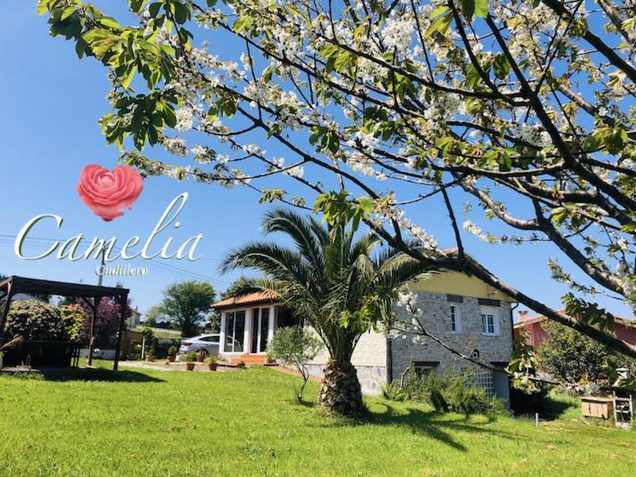 Camelia Casina Rural Villa Albuerne Exterior photo